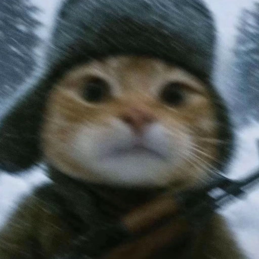 北宋金枪鱼