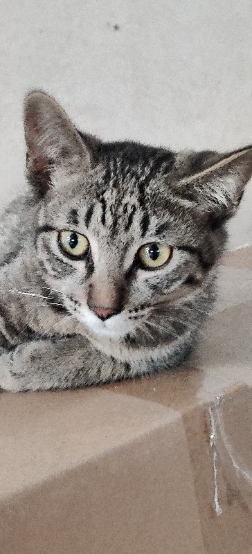 突然兴奋患♂️者