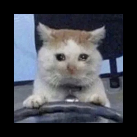 根本没在动物园