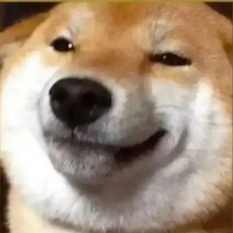 凡崽蹲大牢