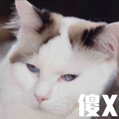 mrxxs