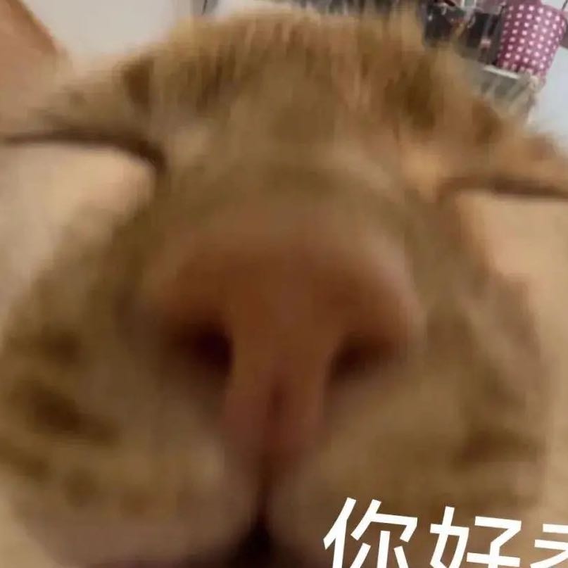 刘巧巧