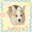 puppyoo