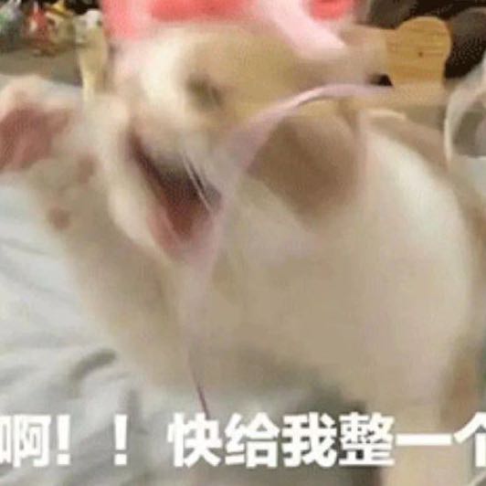 乌克丽丽