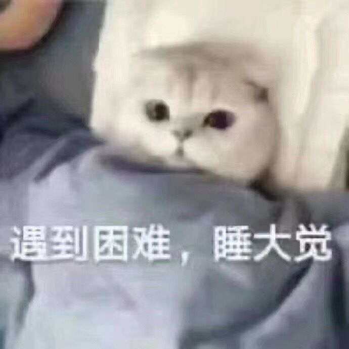 睡觉